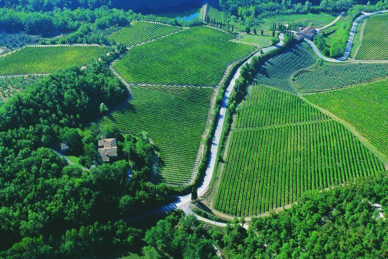 Fattoria Poggerino Acomodação com café da manhã Radda in Chianti Quarto foto