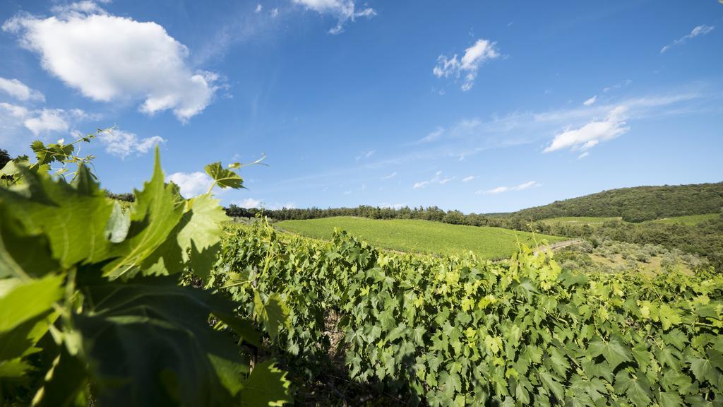 Fattoria Poggerino Acomodação com café da manhã Radda in Chianti Exterior foto