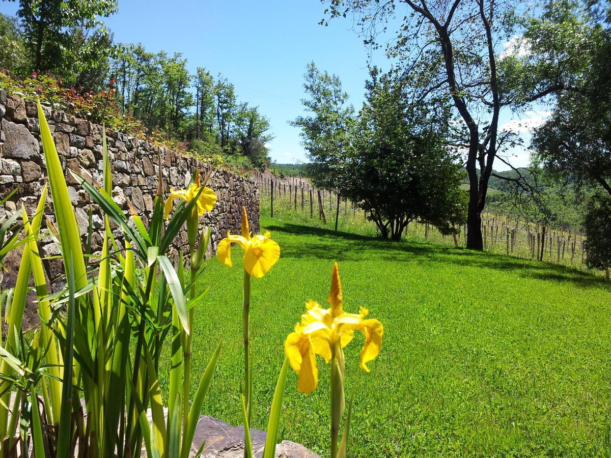 Fattoria Poggerino Acomodação com café da manhã Radda in Chianti Exterior foto