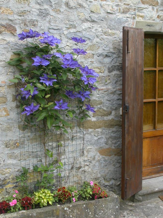 Fattoria Poggerino Acomodação com café da manhã Radda in Chianti Exterior foto